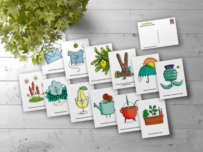 les 12 cartes postales avec les illustration de chaque mois de l'année + verso
